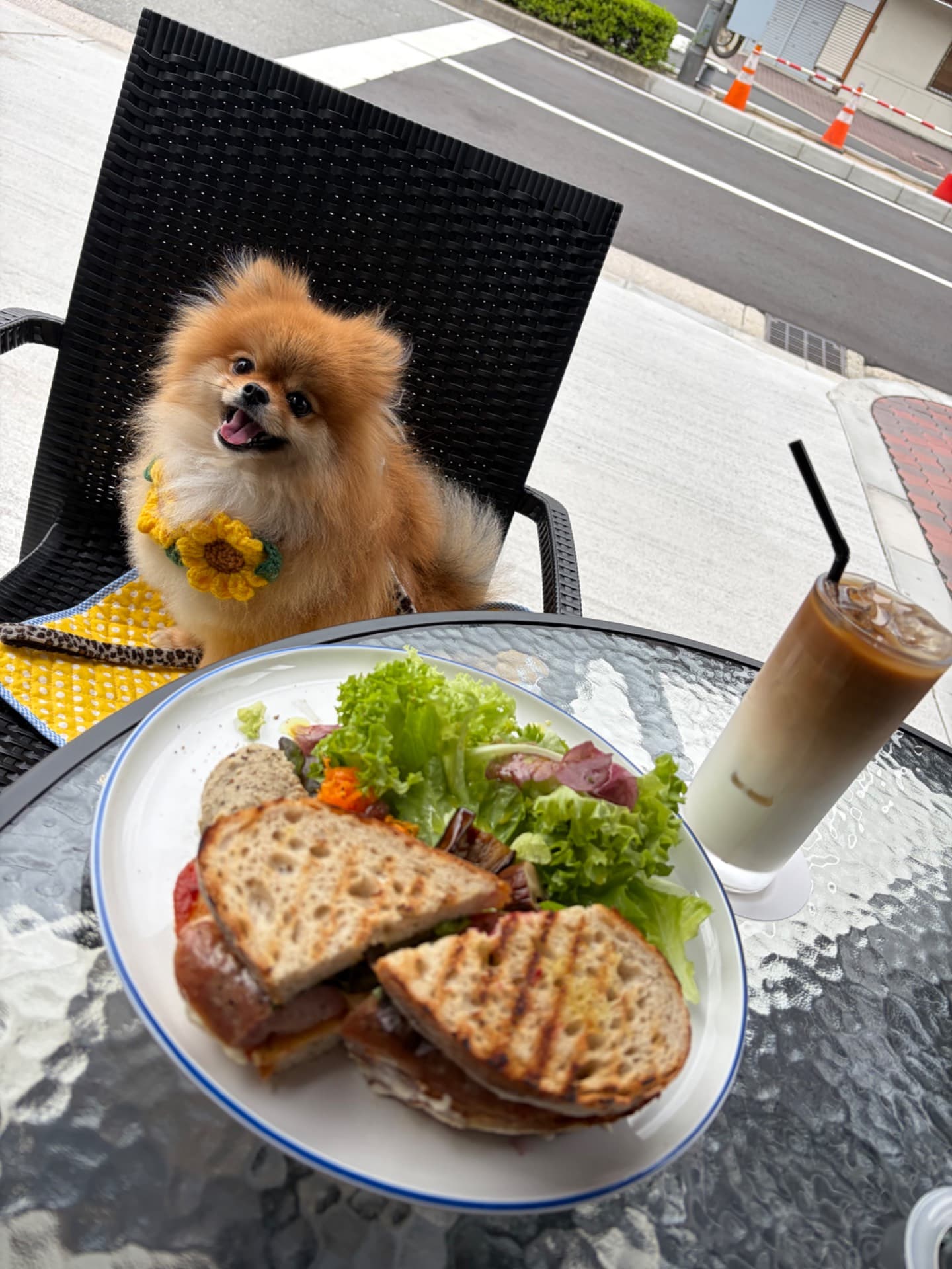 bego cafe morinomiya