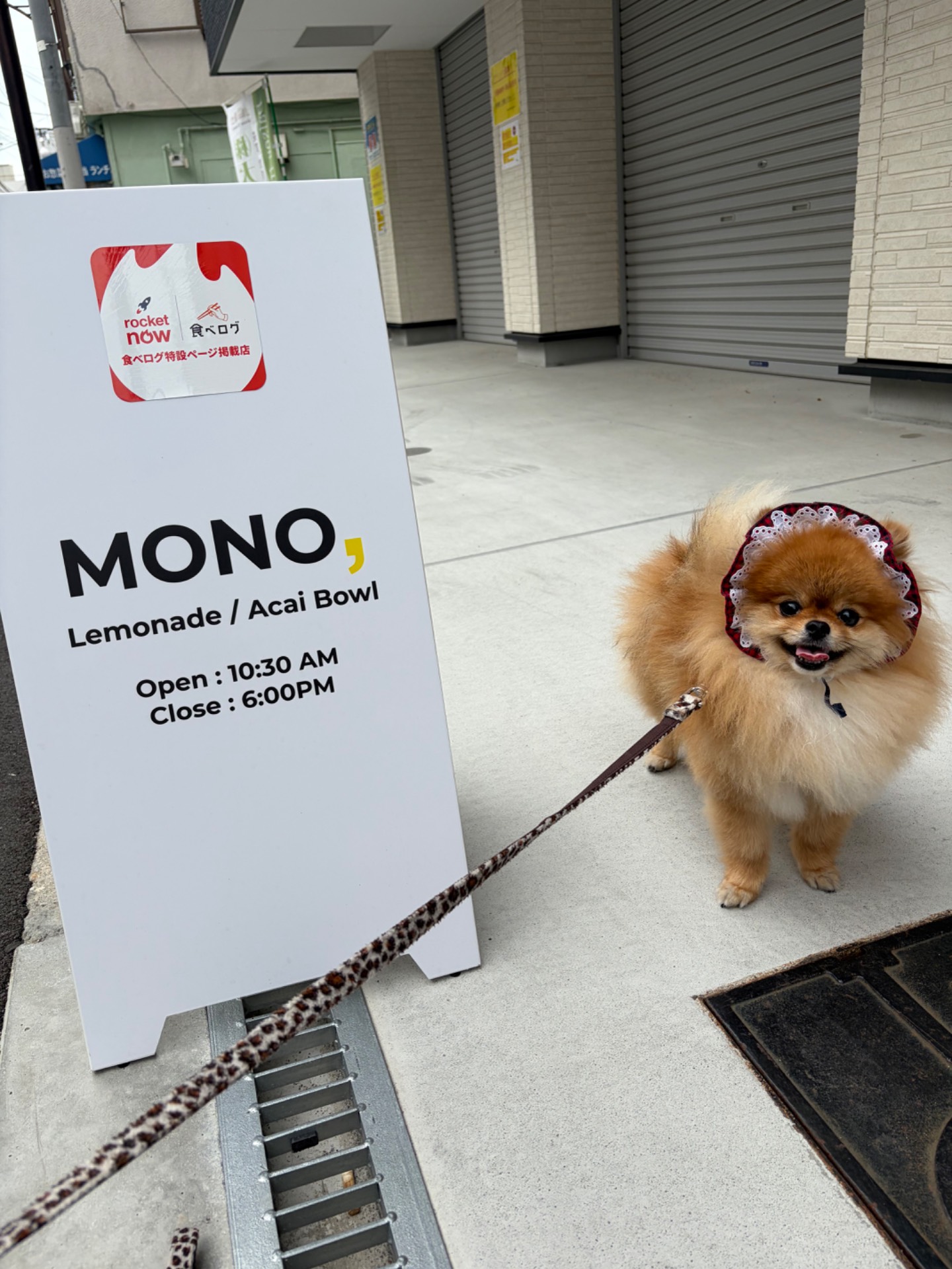 MONO,