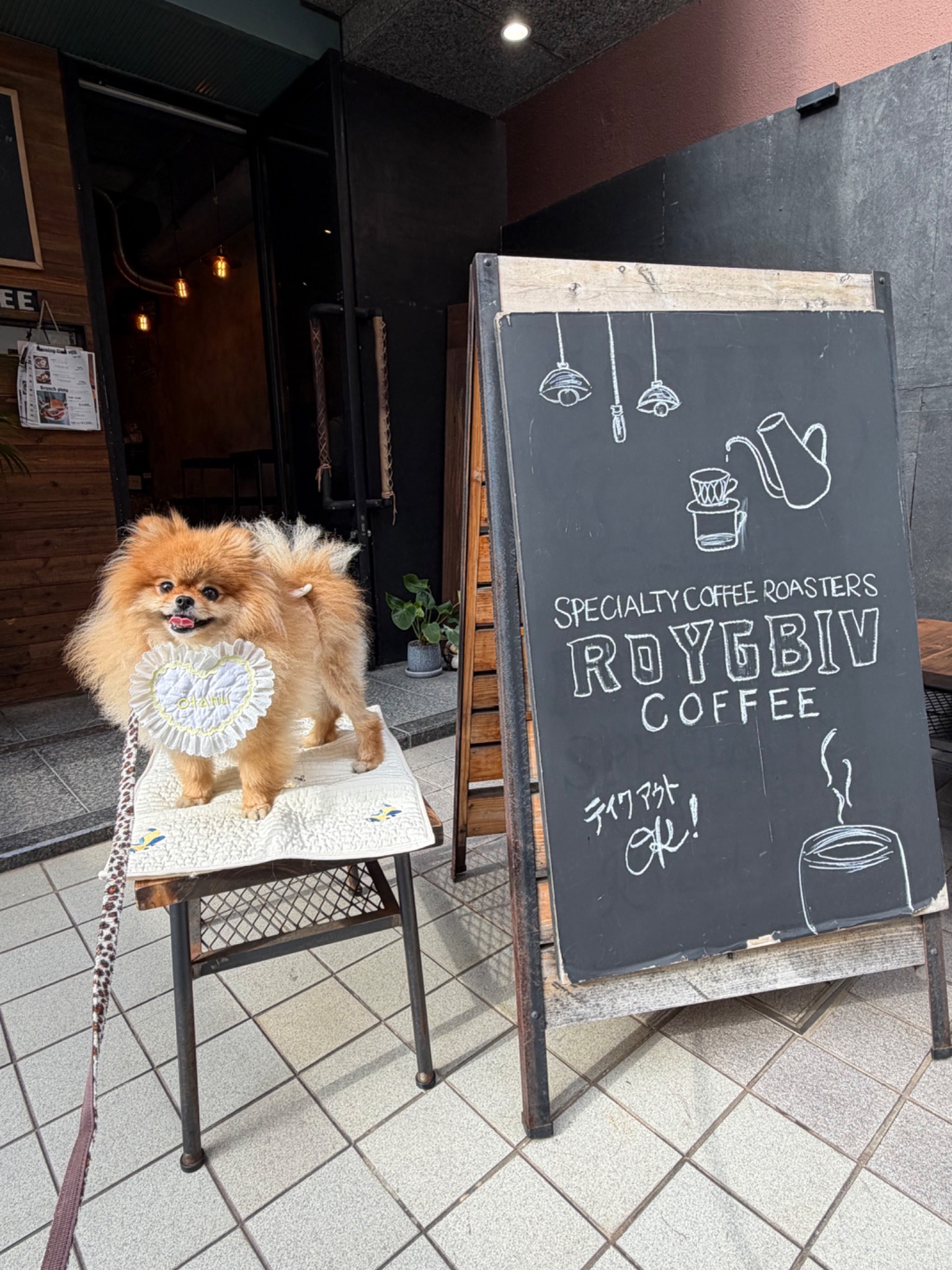 ROYGBIV Coffee 〜〜 ロイジービブ コーヒー