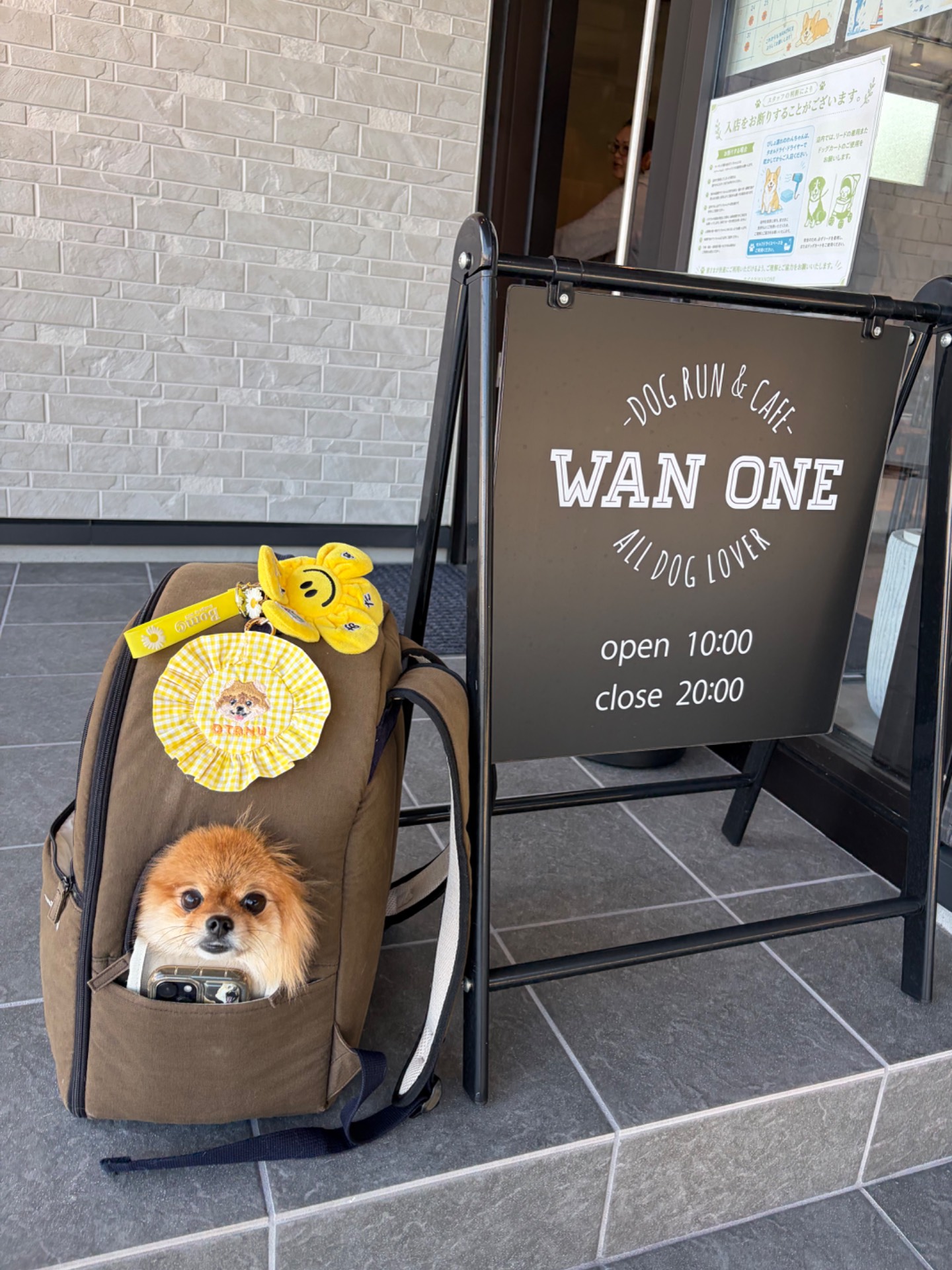 ドックラン WANONE