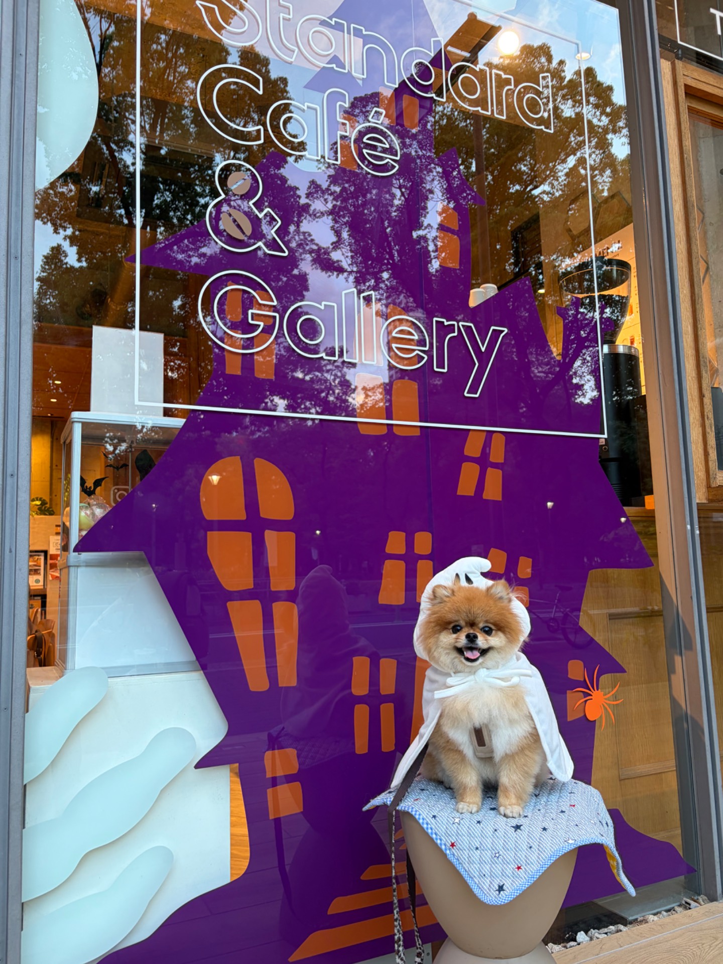 Standard Café & Gallery 靭公園店