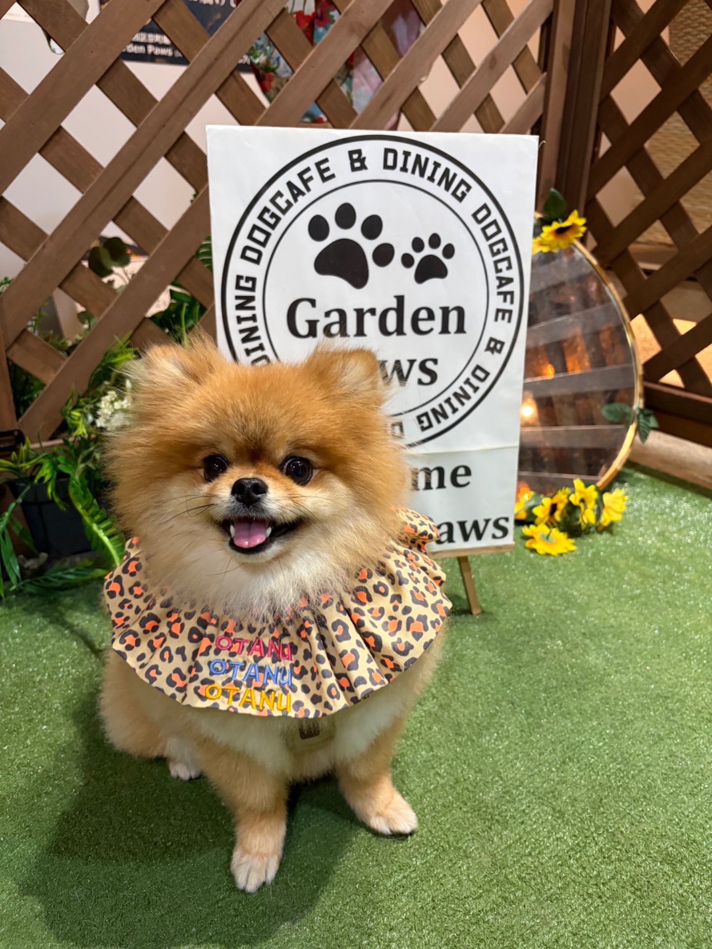 Garden Paws/ガーデンパウズ