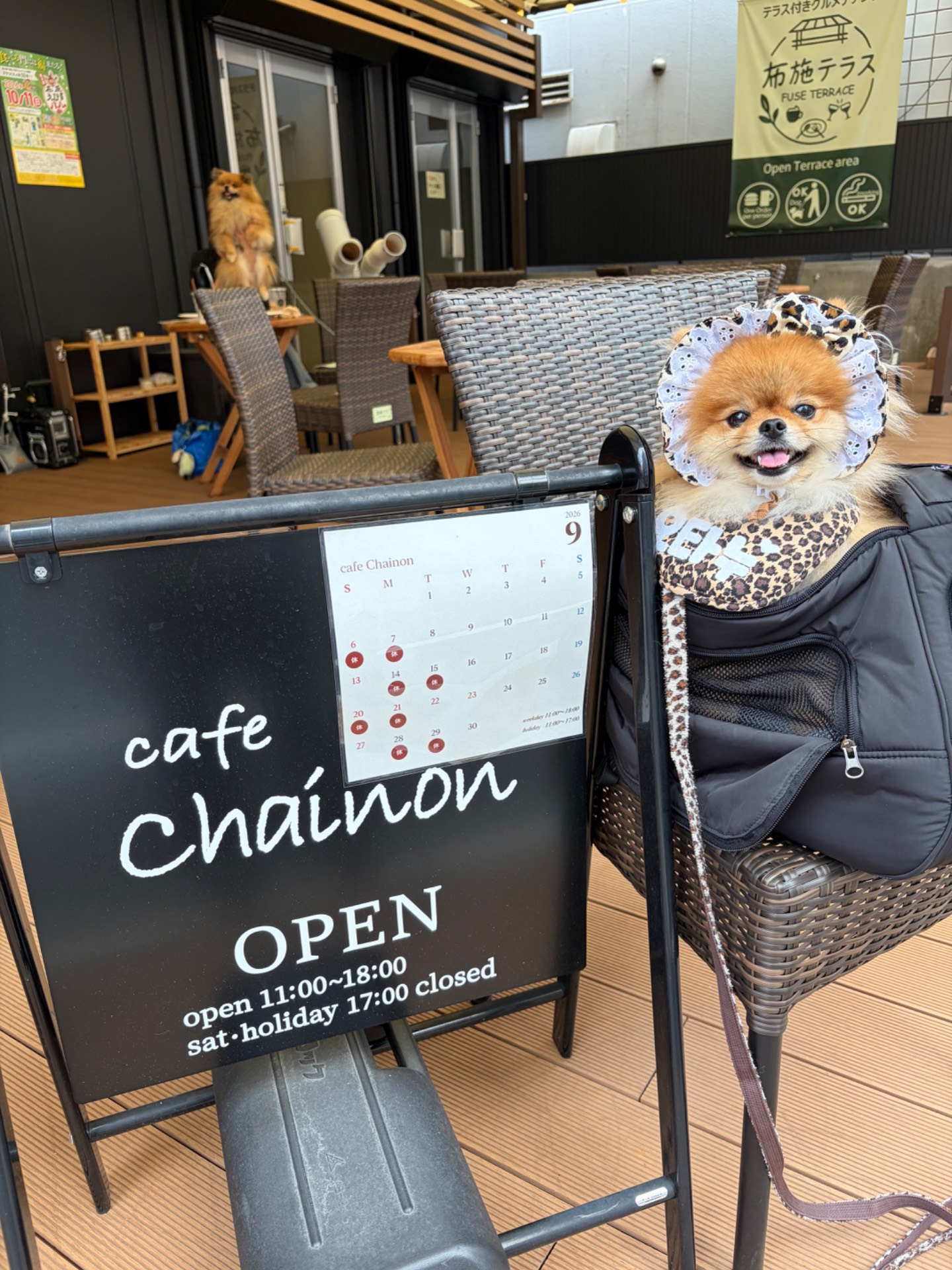 Cafe Chainon