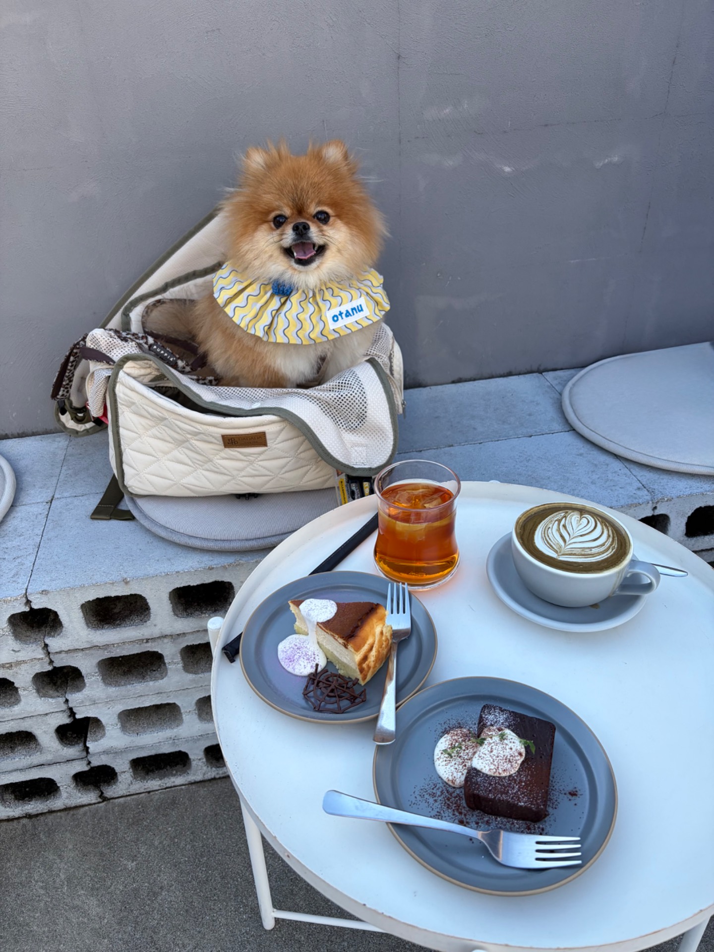 Cafe no.888(カフェナンバーエイト)