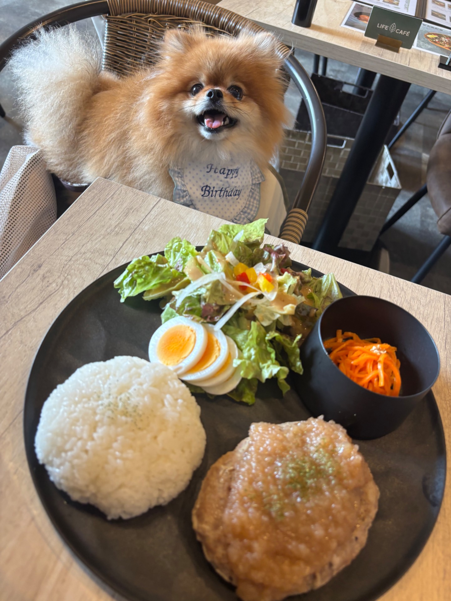 LIFE CAFE