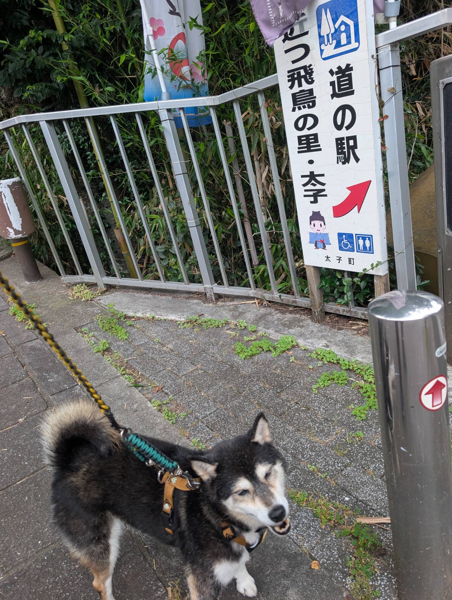 道の駅 近つ飛鳥の里・太子