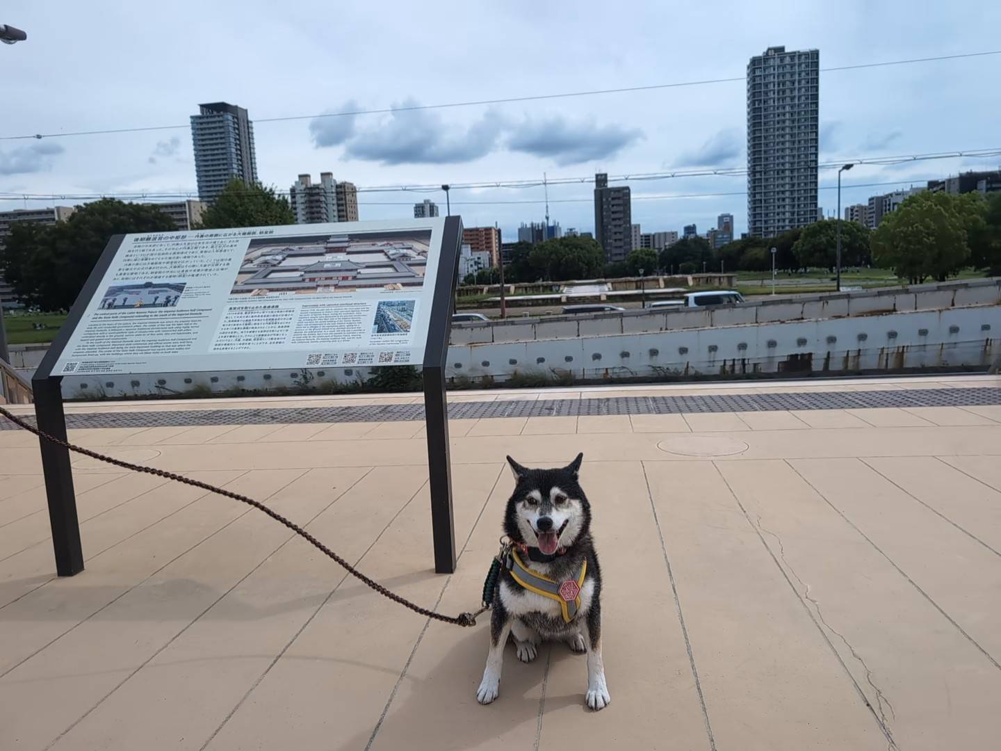 難波宮跡公園内裏地区(なノにわ)