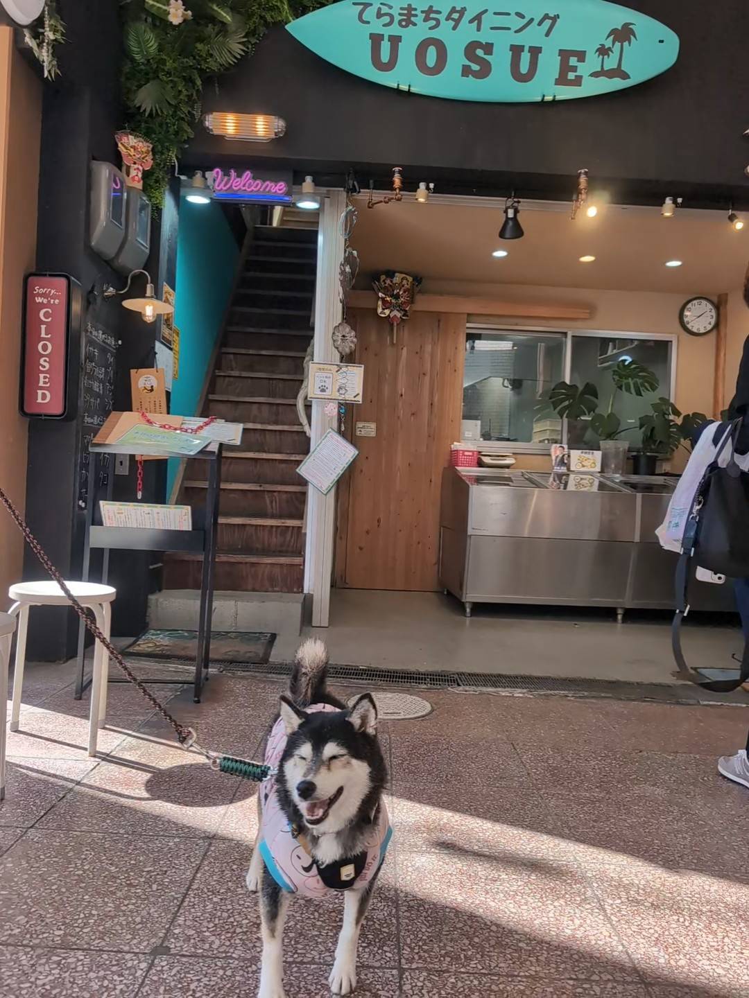 てらまちダイニングUOSUE