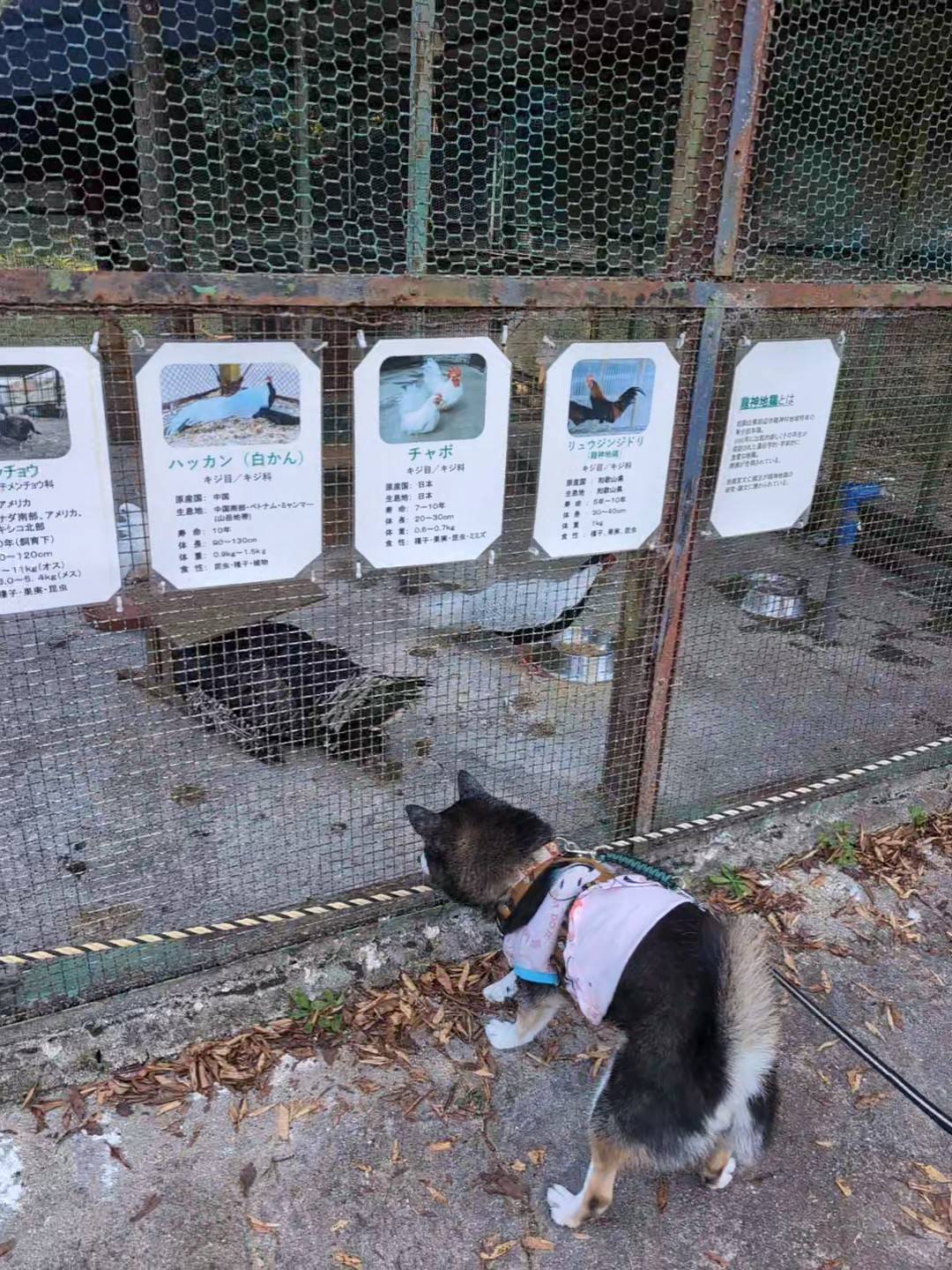 南部丘陵公園