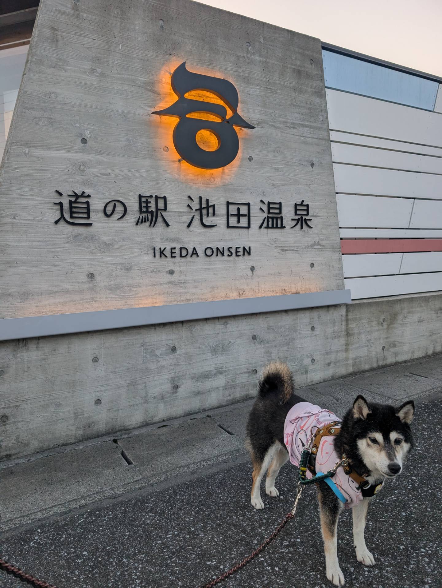 道の駅 池田温泉
