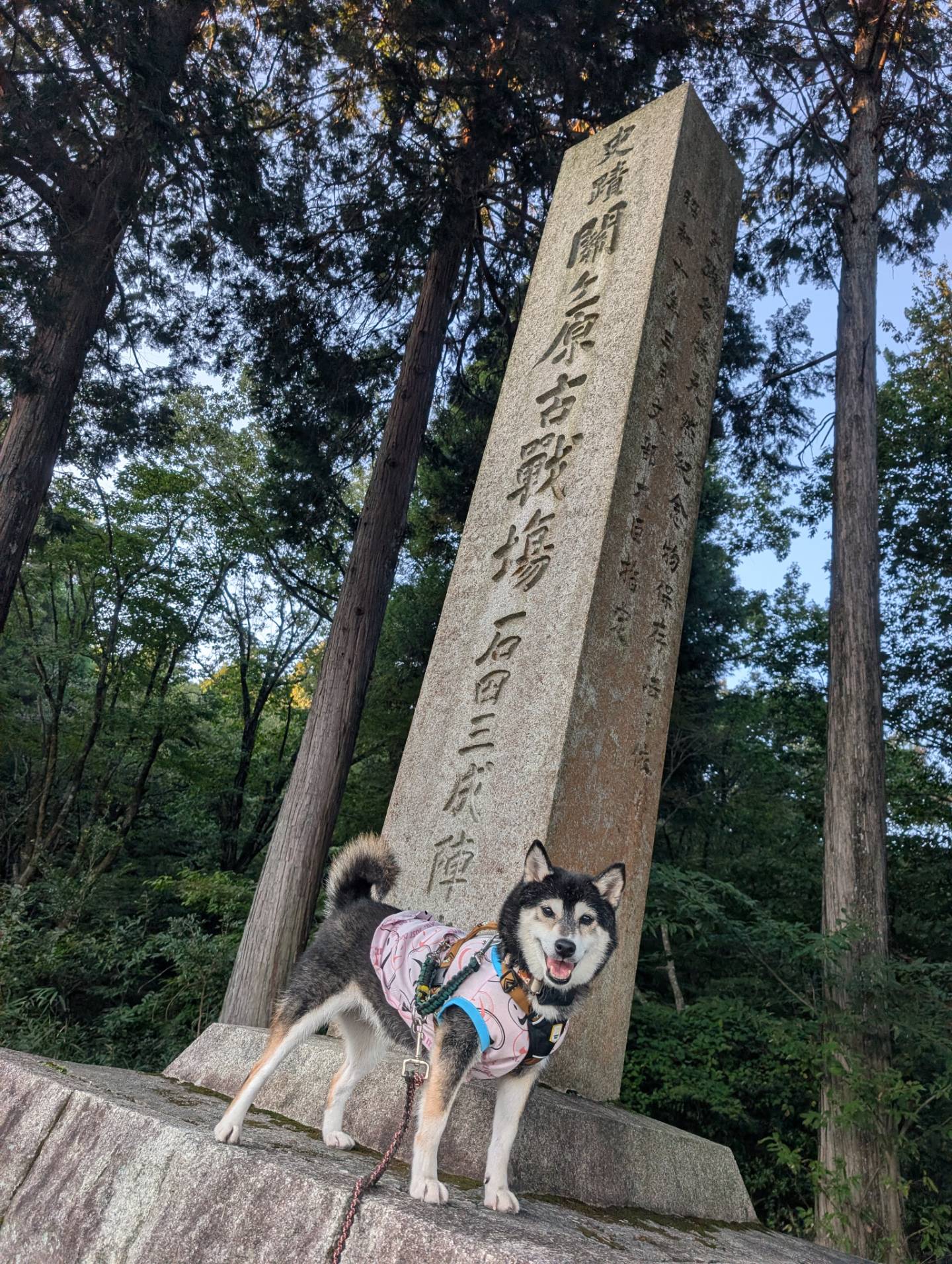 関ヶ原古戦場 石田三成陣地
