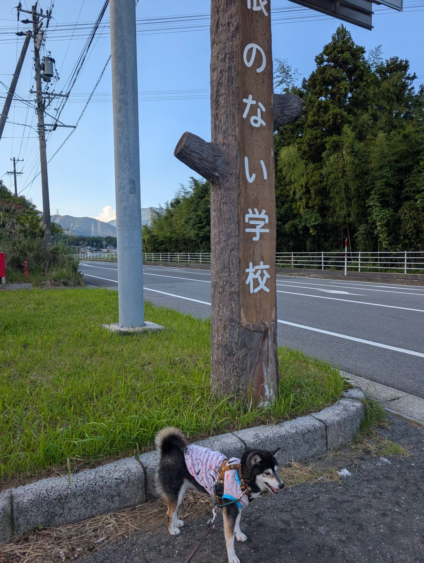 簡易パーキング ふじわら