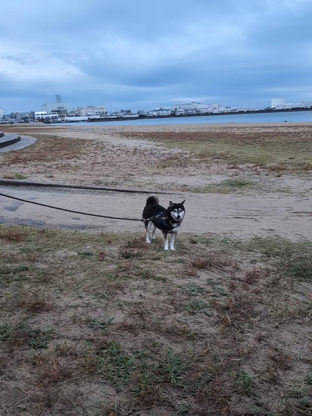 府営二色の浜公園BLUEPARK