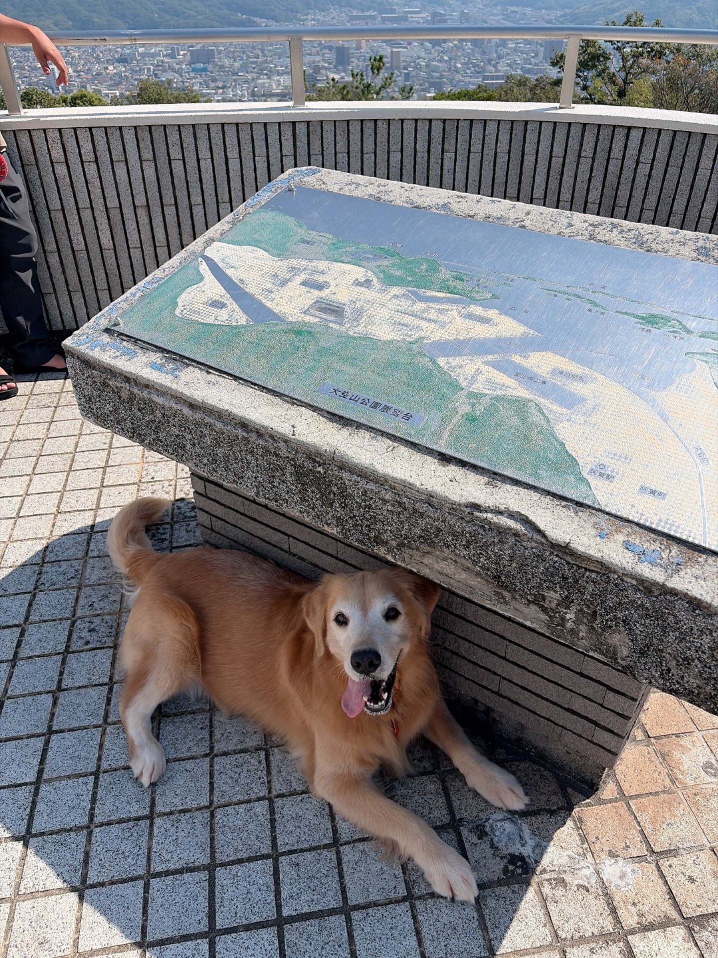 大空山公園