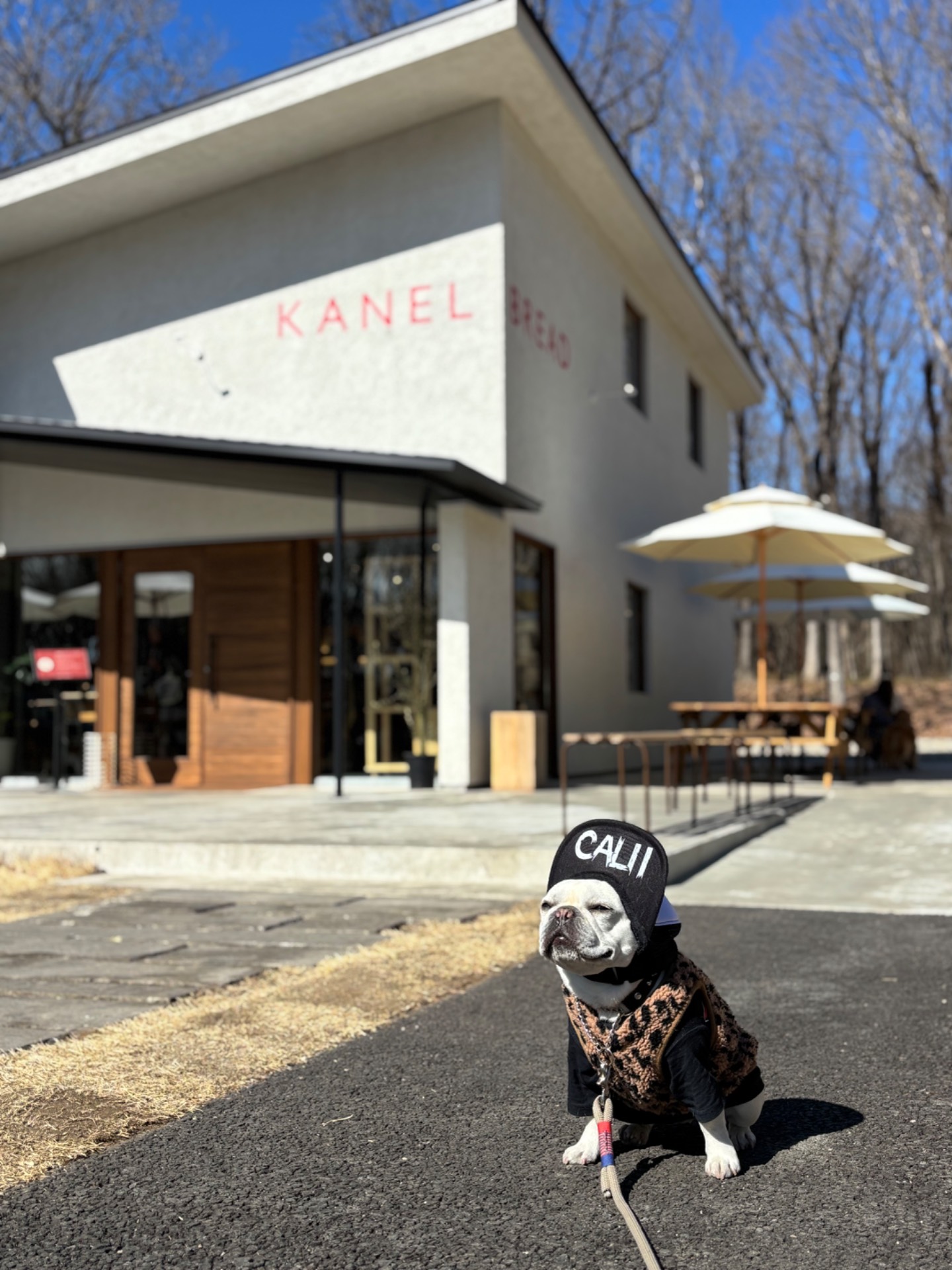 KANEL  BREAD NASU