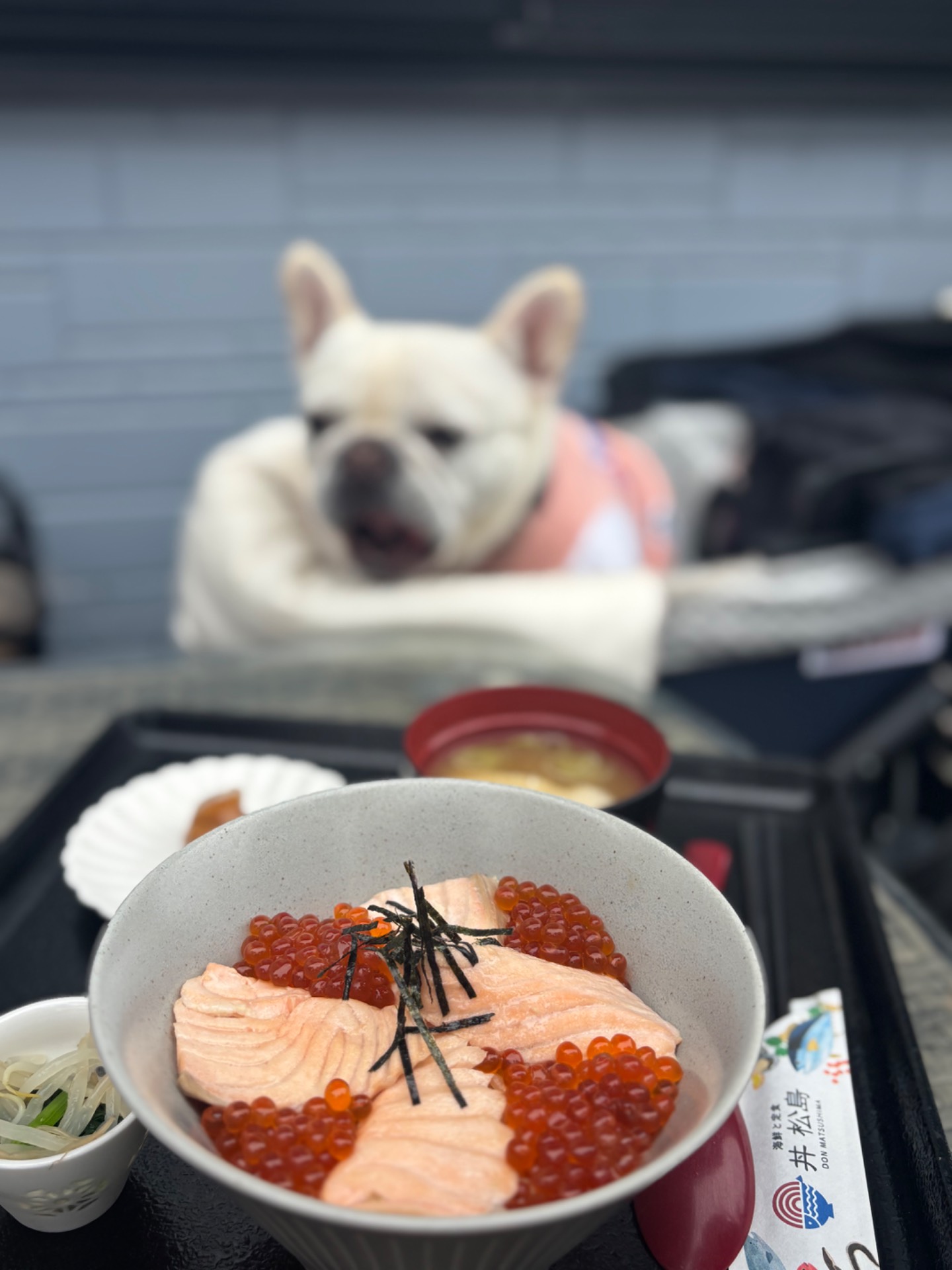 丼　松島