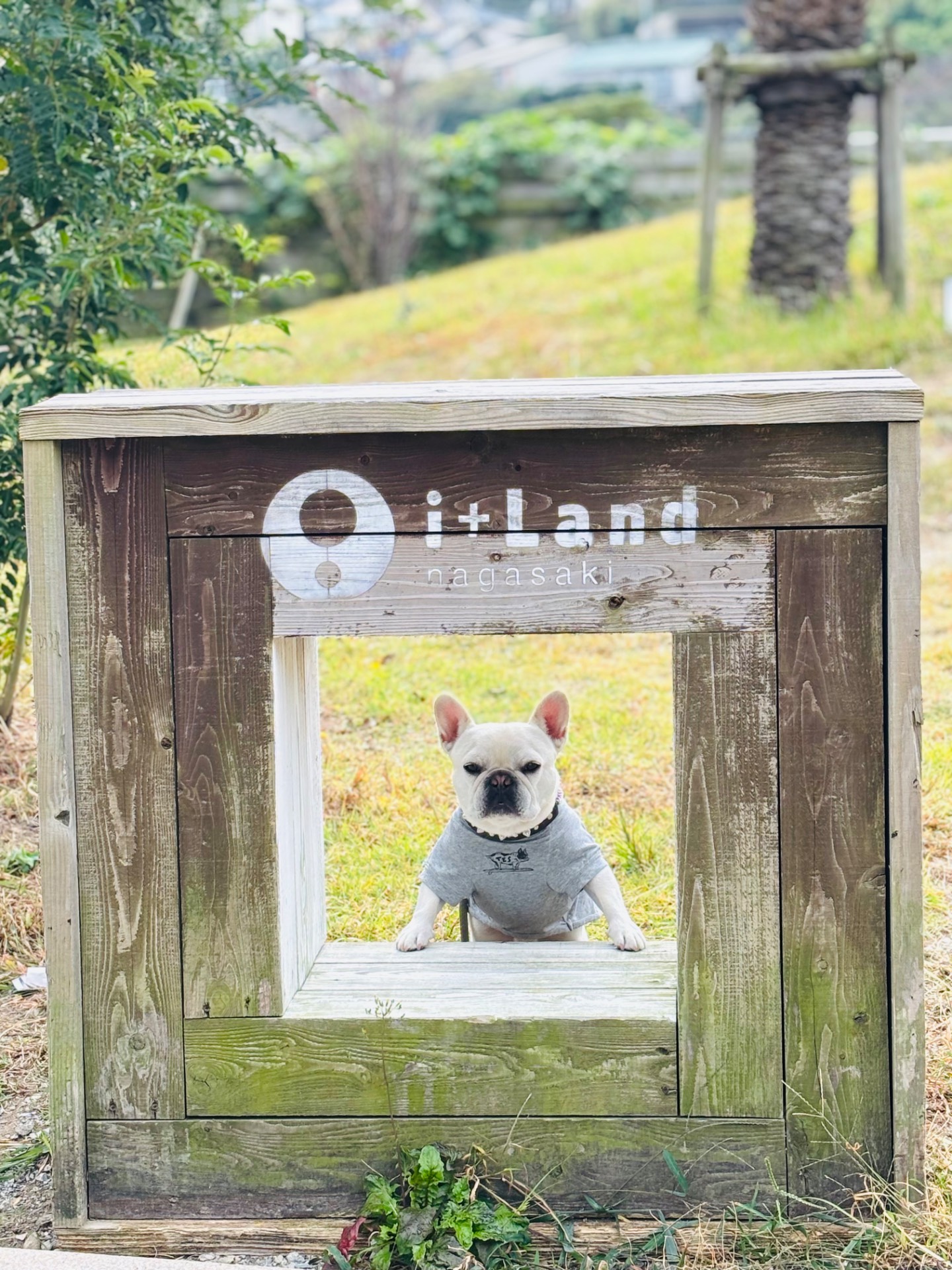 i ＋Land nagasaki