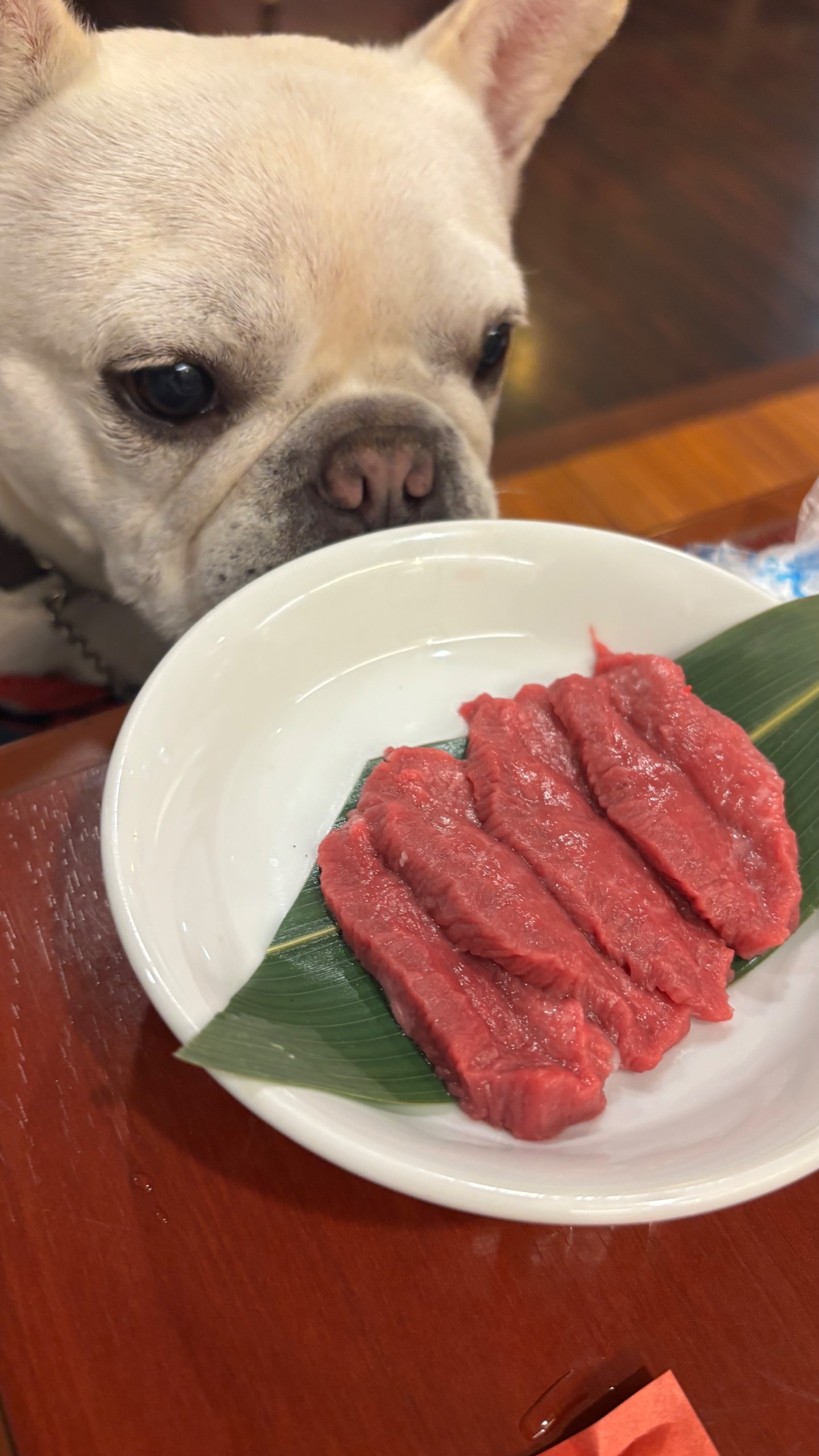 焼肉シンセン