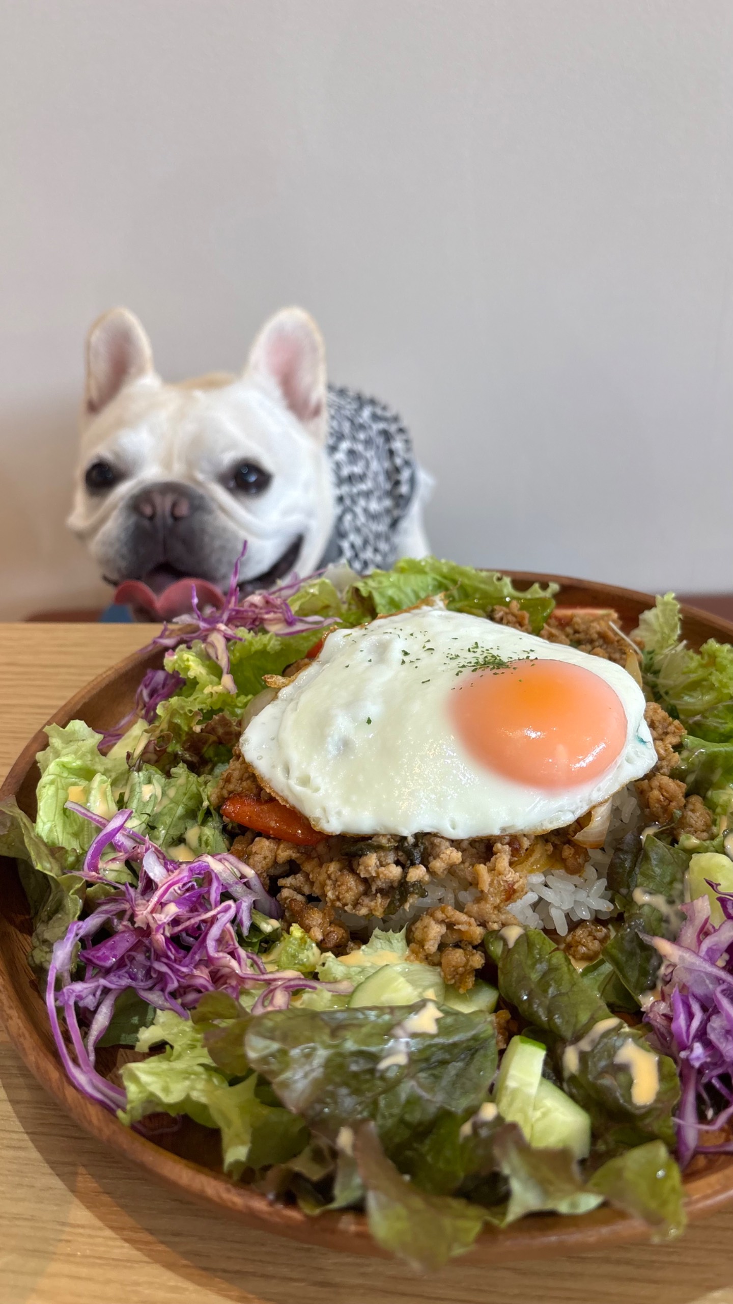 dogcafe BELL