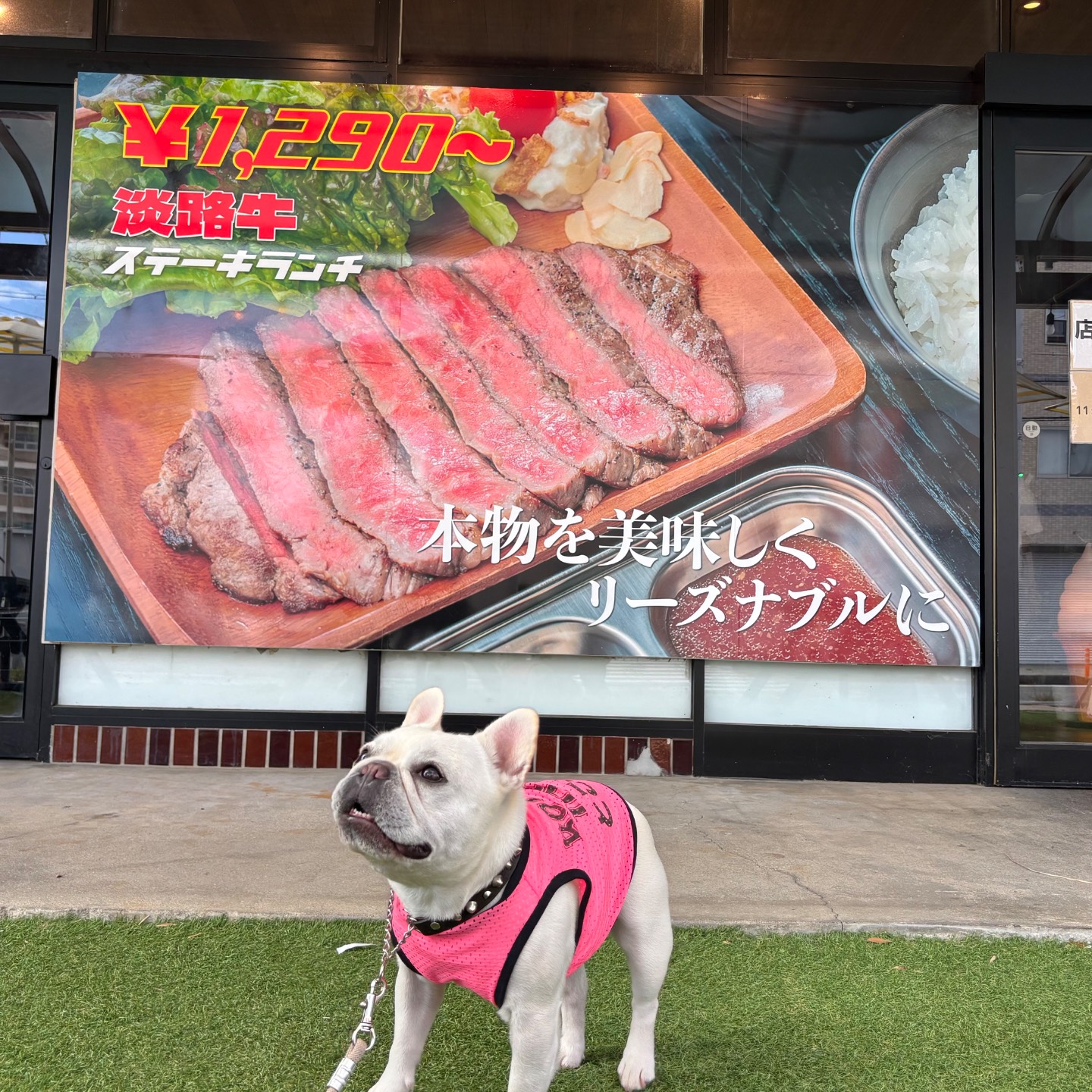 夢ホルモン2nd