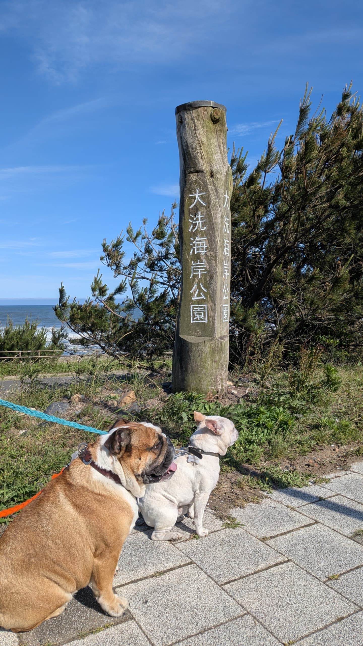  大洗海岸公園