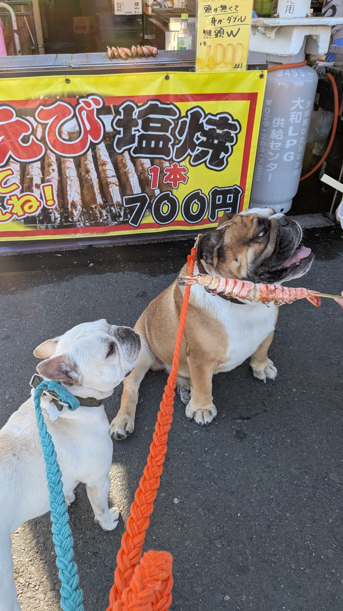 那珂湊おさかな市場