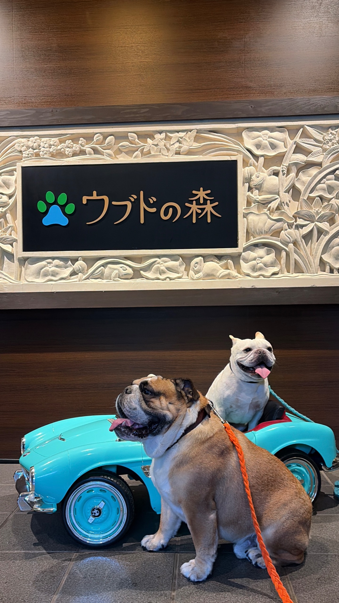 宿泊の一覧へ
