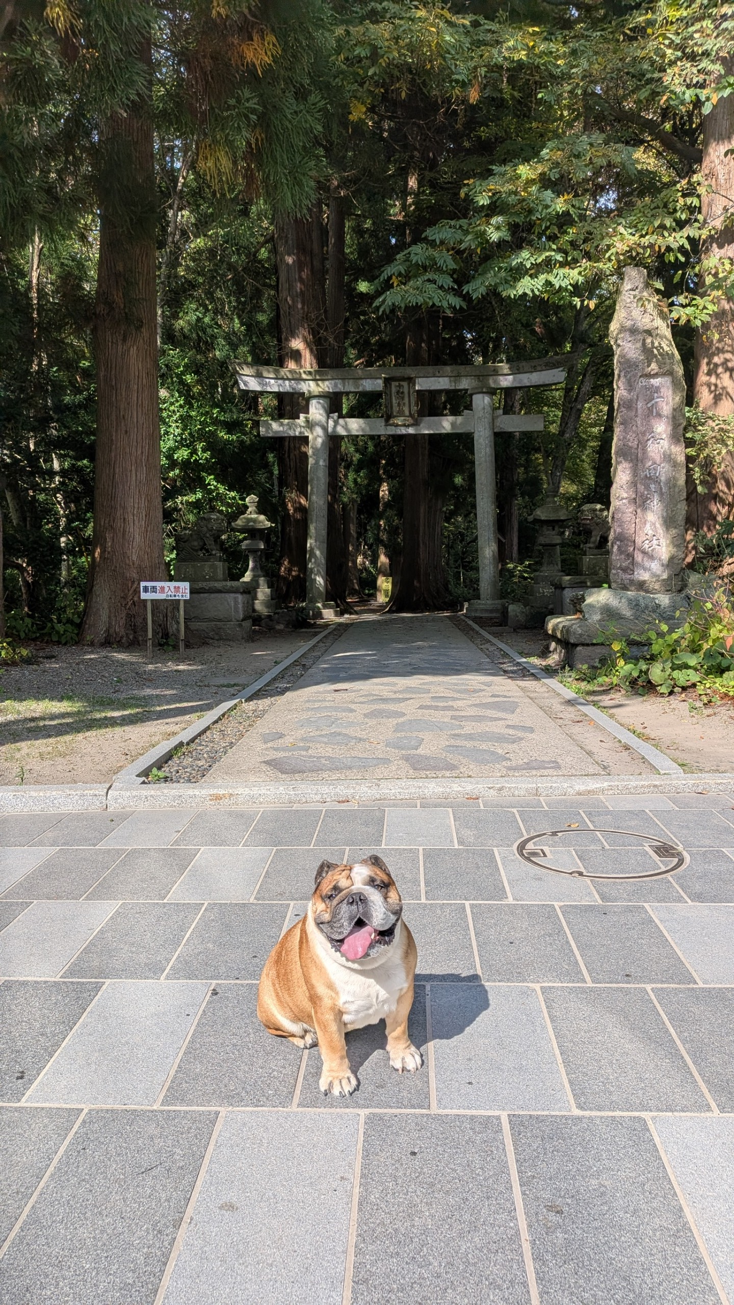 十和田神社