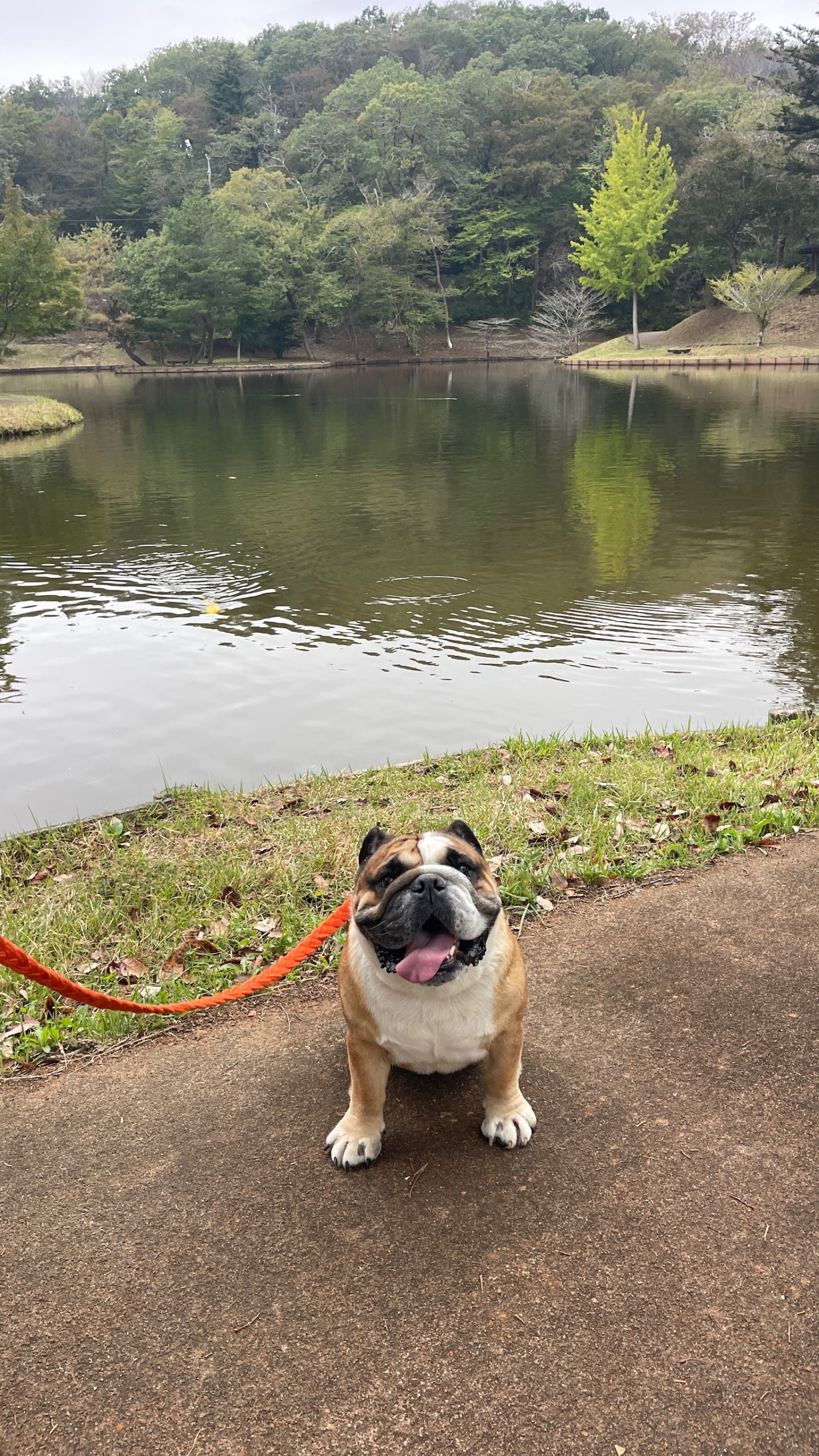 北山公園