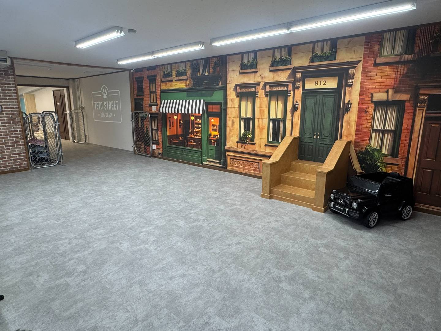DOG SPACE TETO STREET