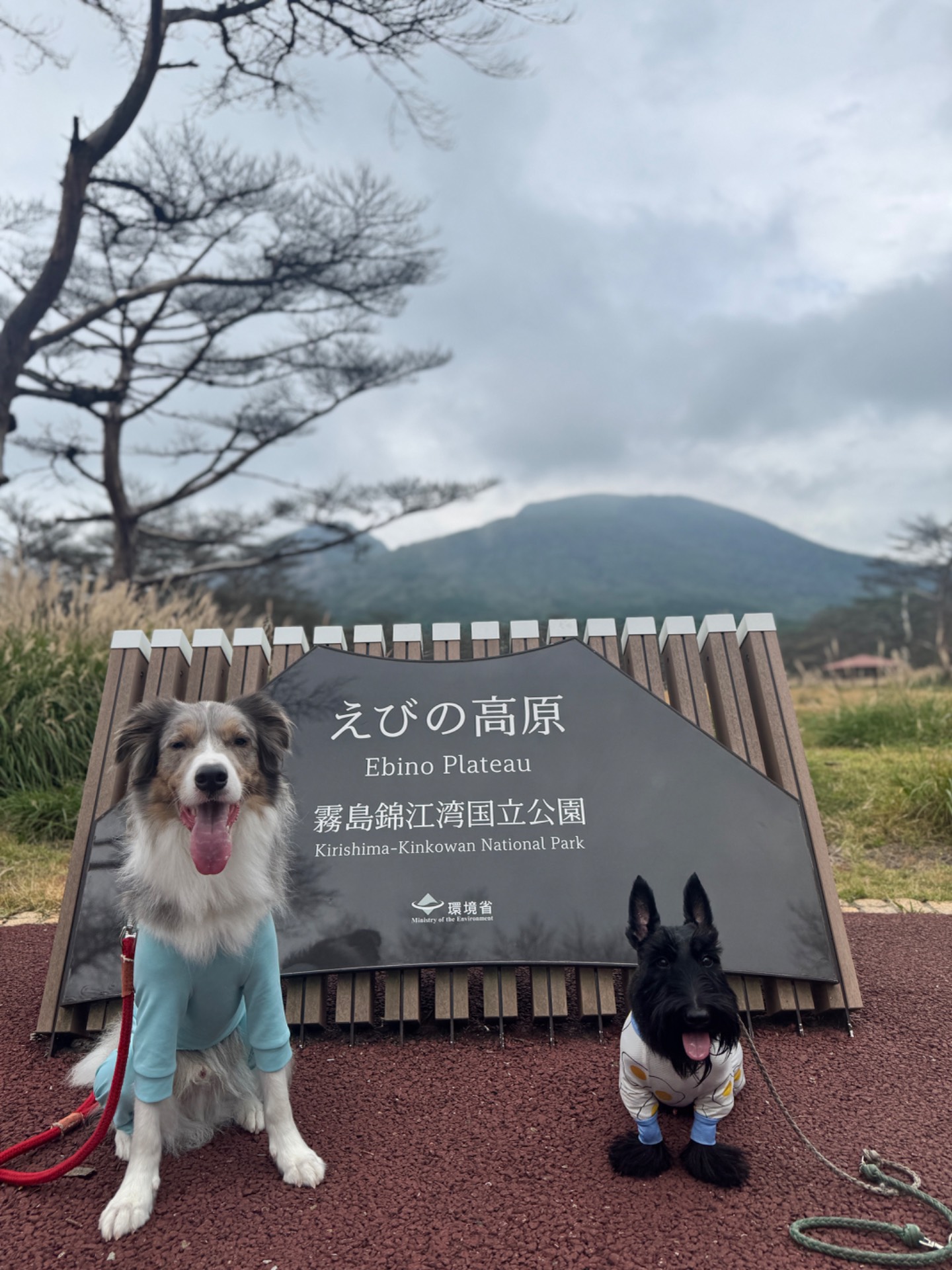 えびの高原