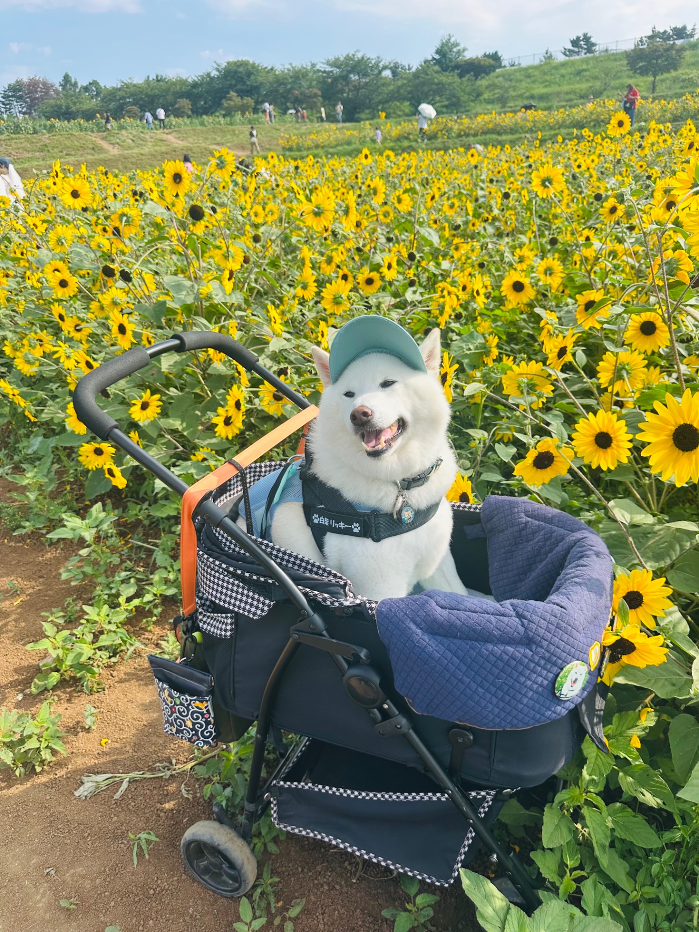 観光地の一覧へ