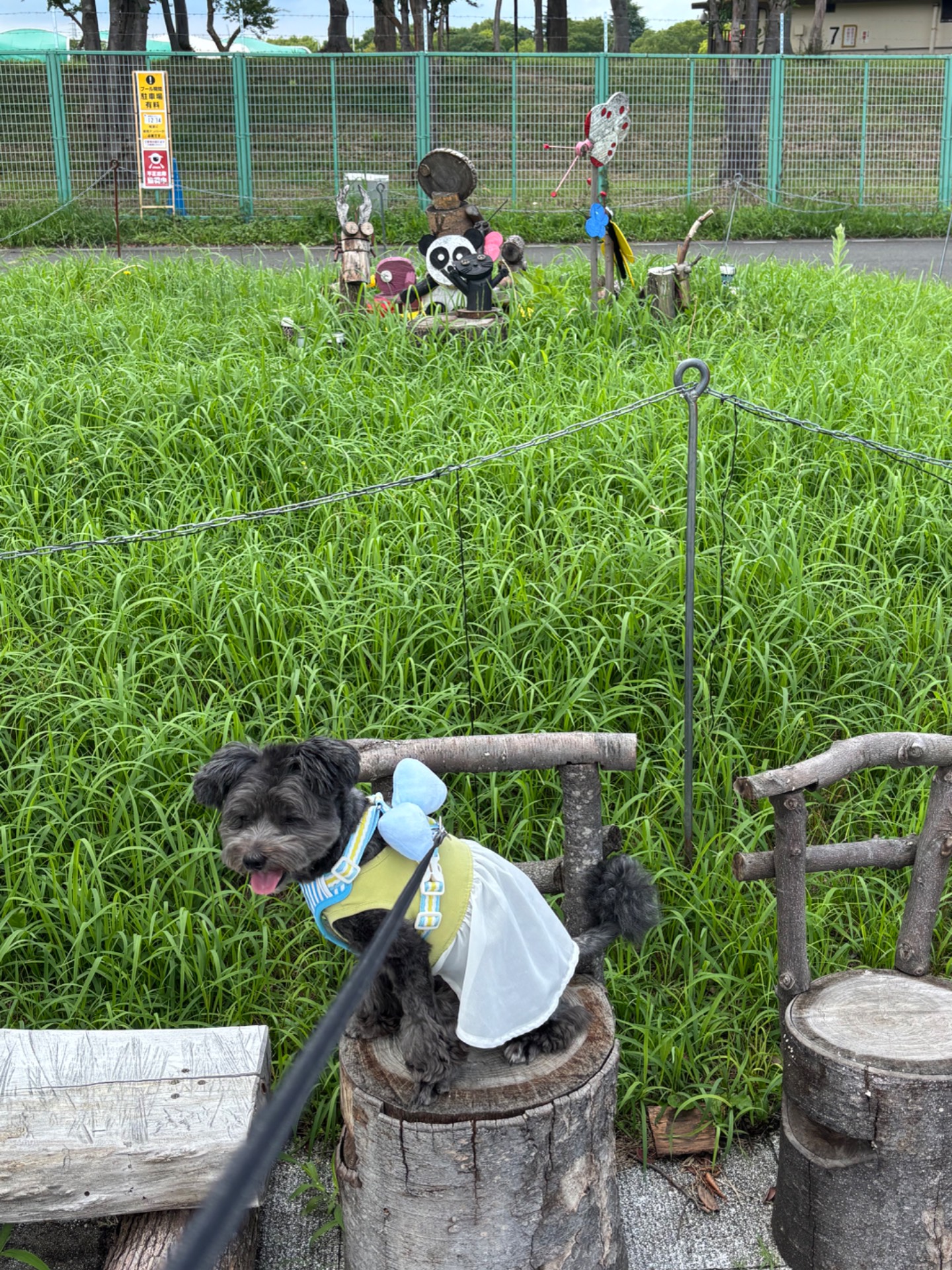 公園の一覧へ
