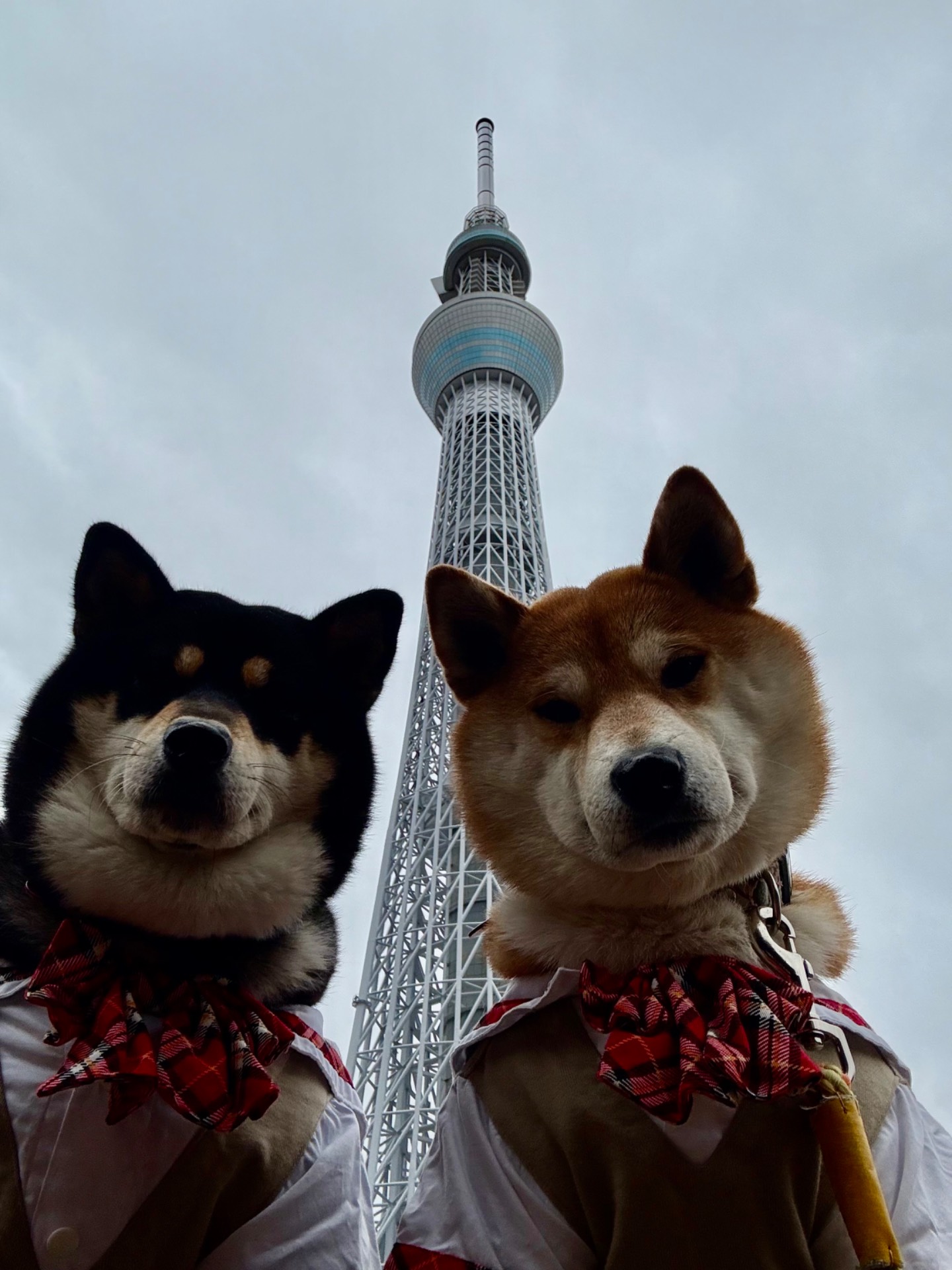 東武ワールドスクウェア