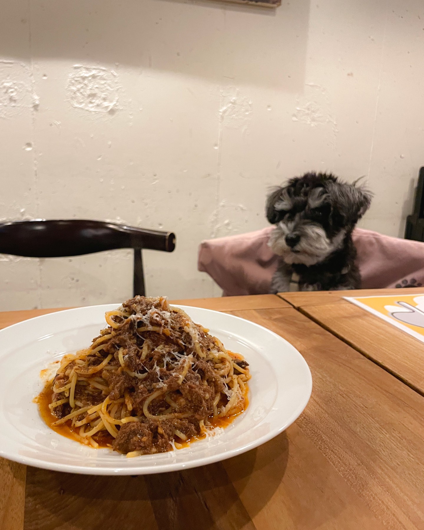 PACE ITALIAN LOUNGEの画像:朝まで営業してるイタリアン料理は美味しいですが量が多いです