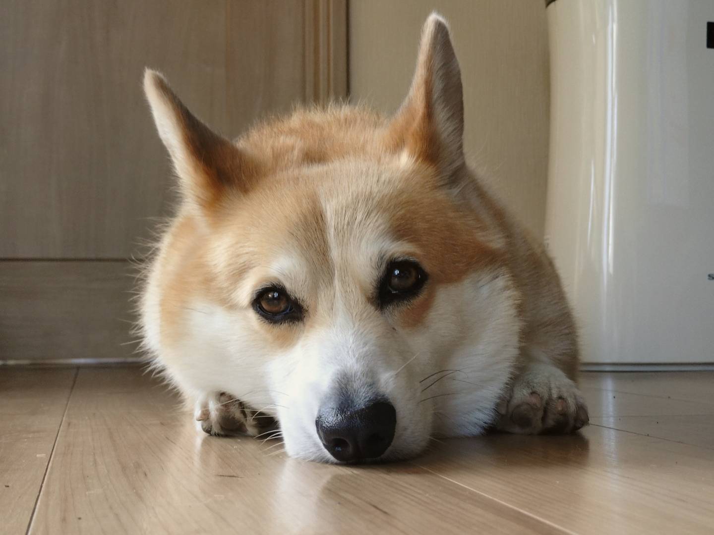 ひでさんさん