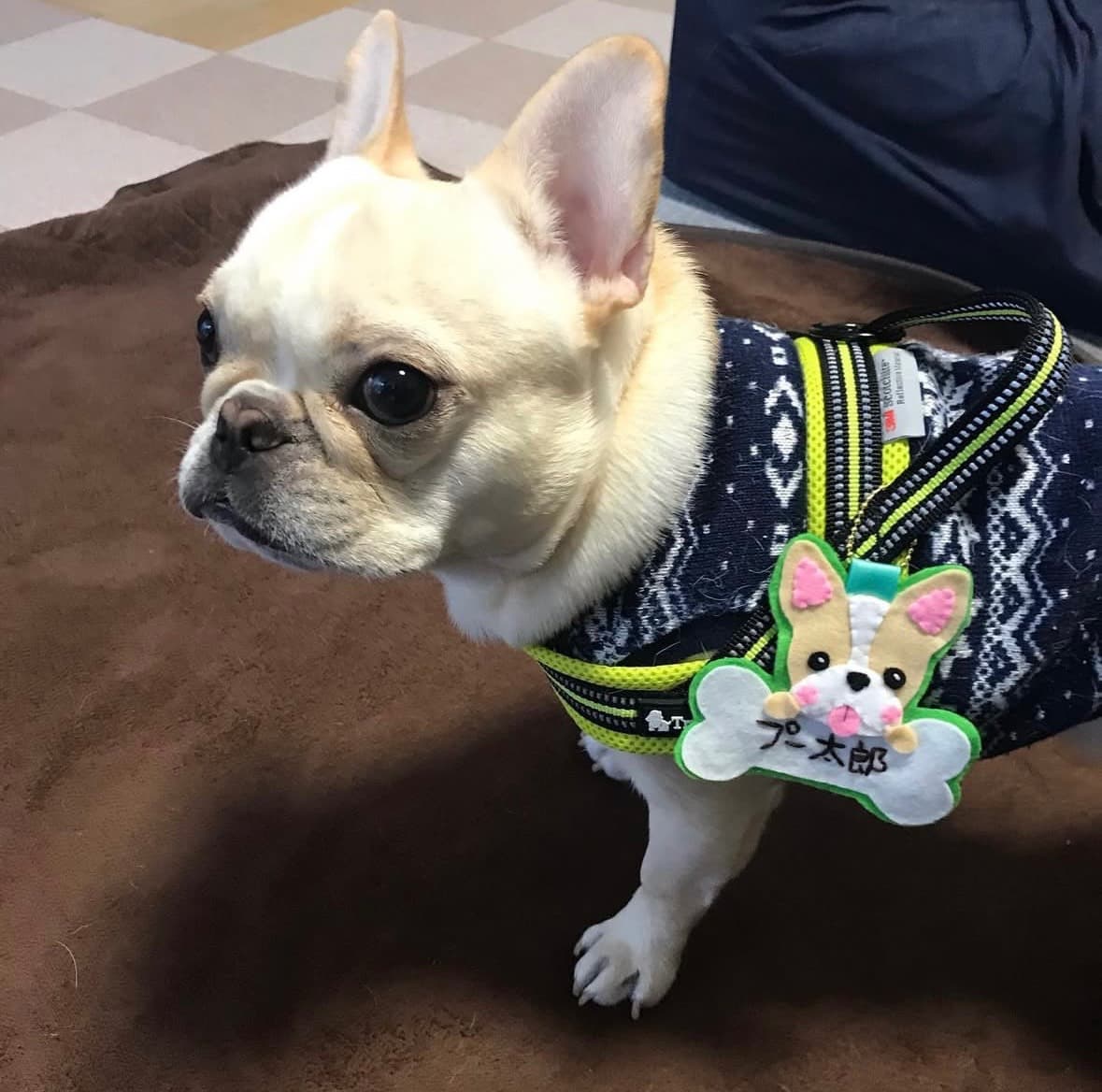 プー太郎さん