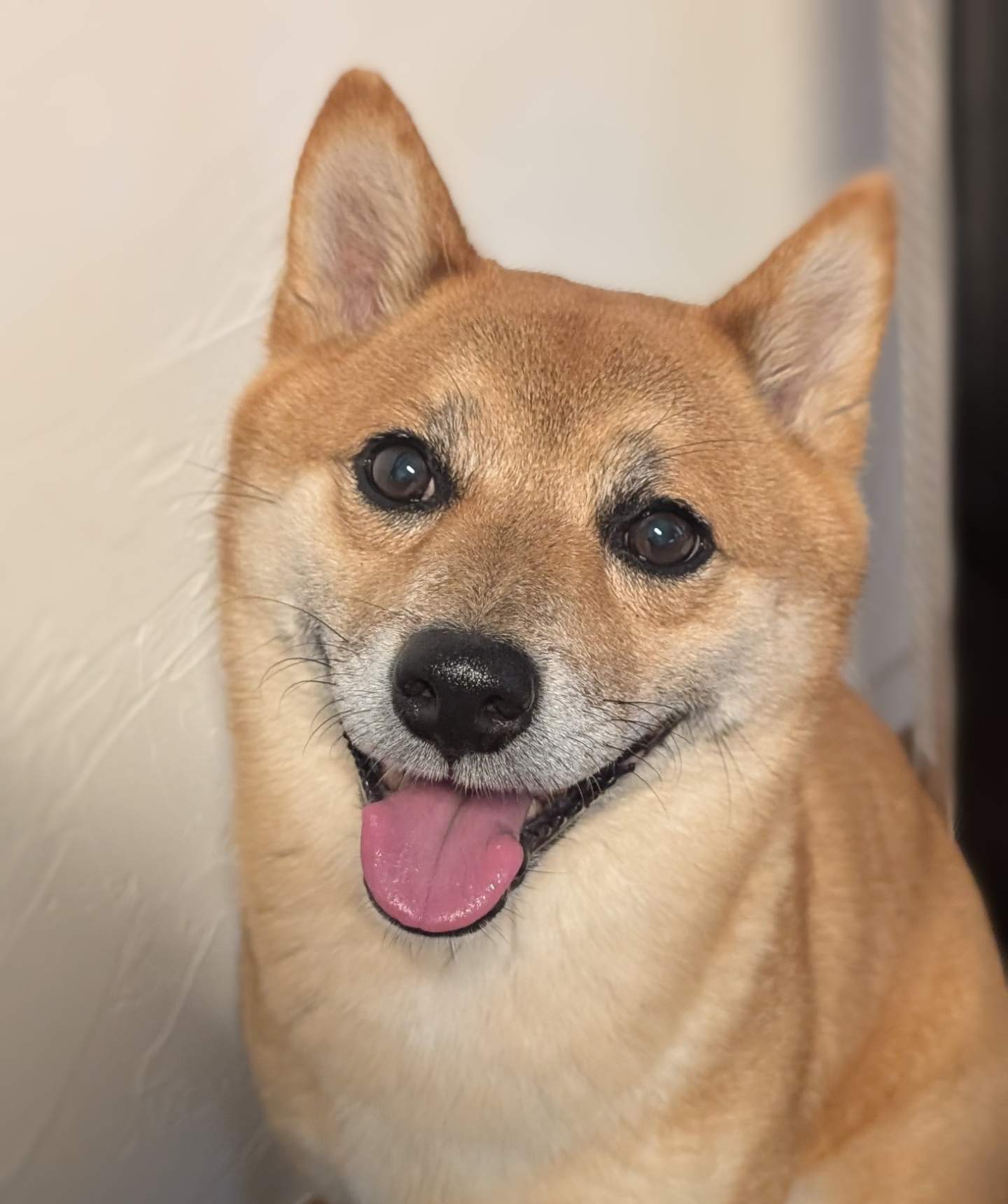あっぷさん