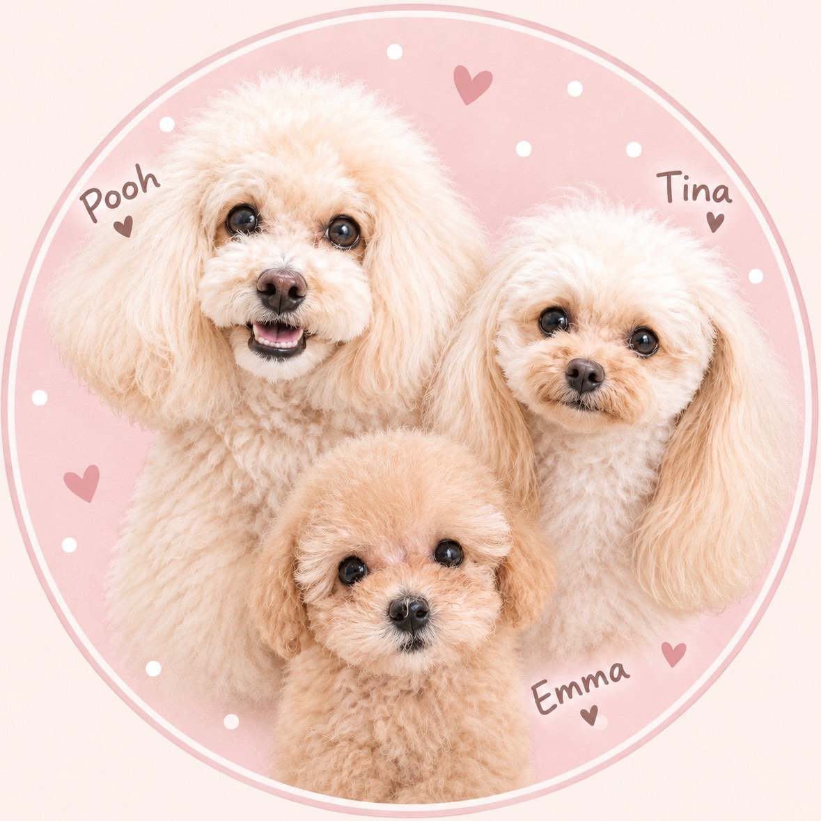 プーちゃんねる・愛犬とおでかけ🐾さん